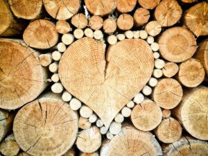 heart, wood, logs-1288420.jpg
